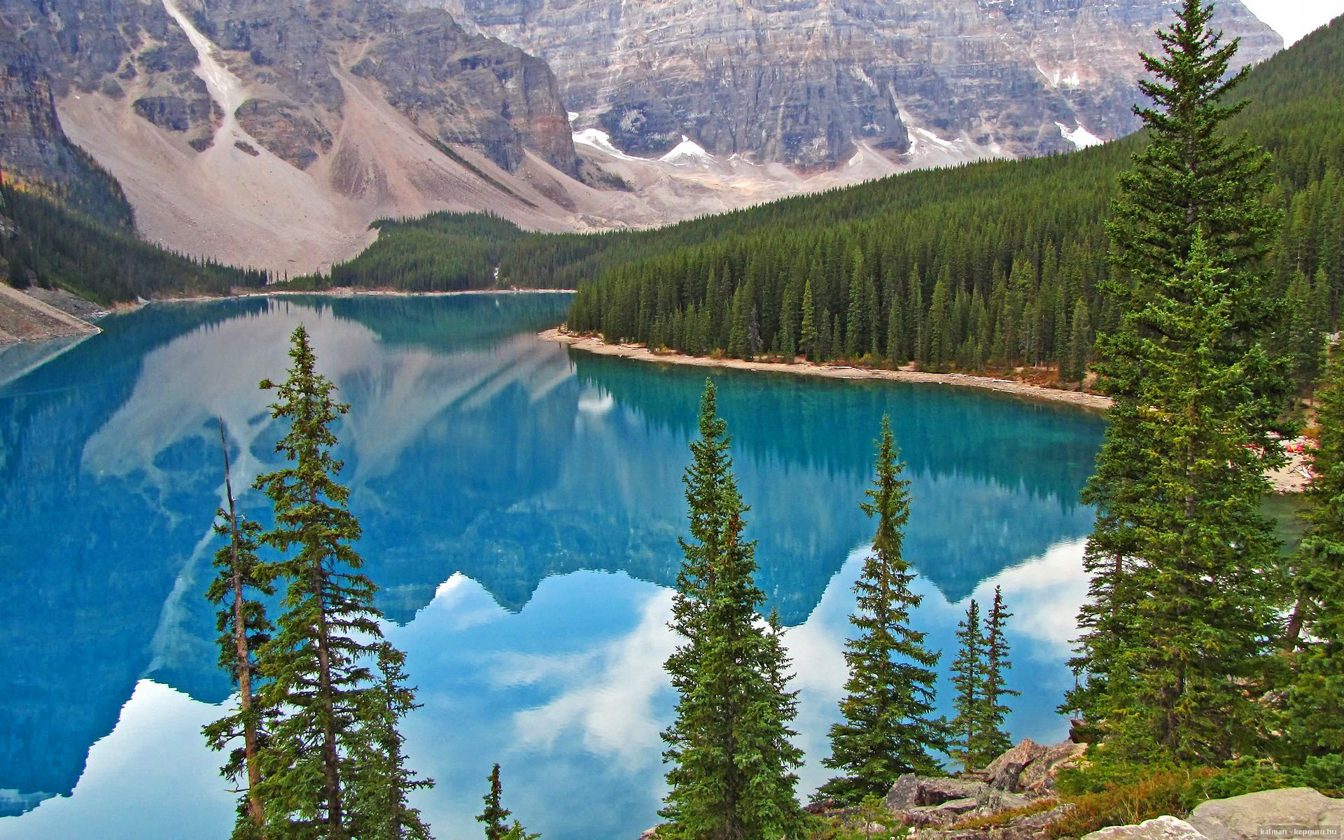 新闻中心解读行业政策动态,国家行业政策导向2021