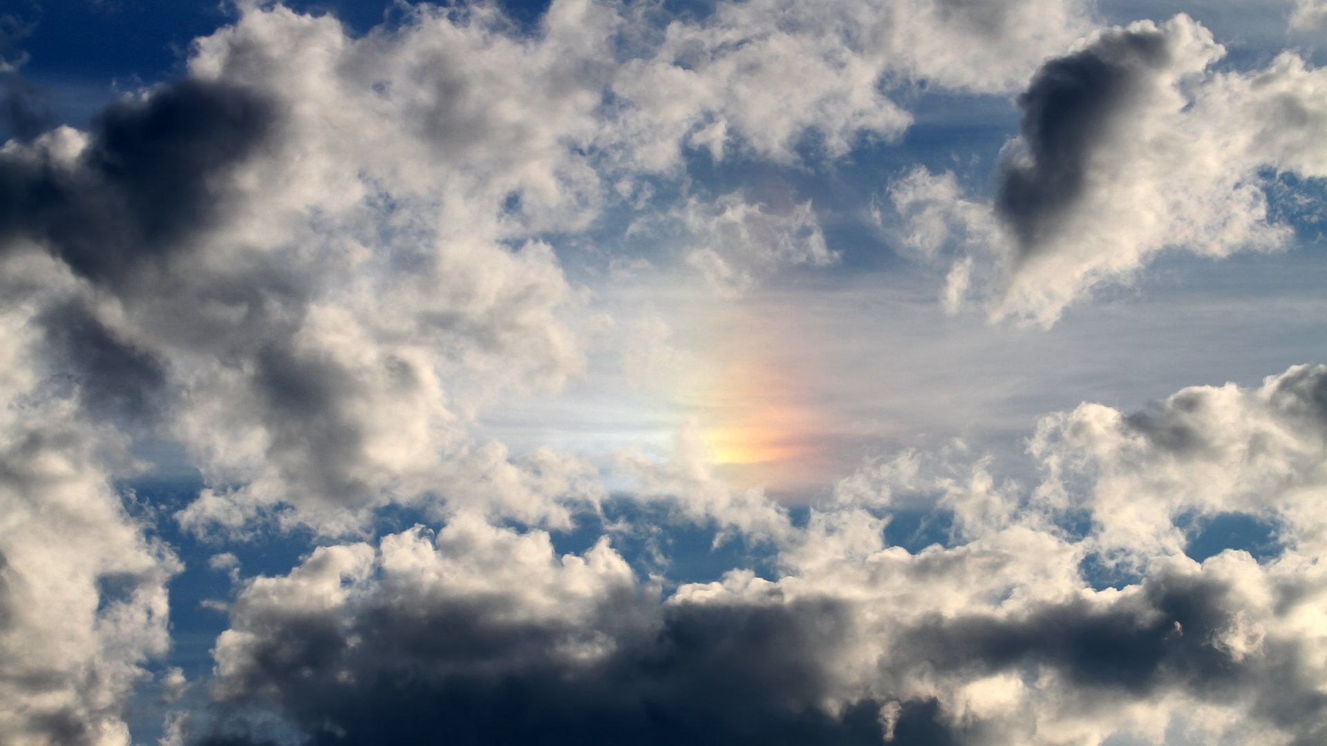 CBA球队建立球员数据档案追踪成长,cba 球员数据库