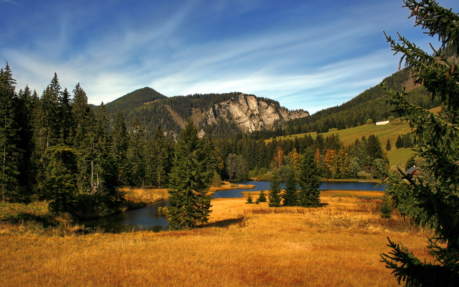 公牛前锋接受电视专访分享赛场故事,公牛以前的中锋