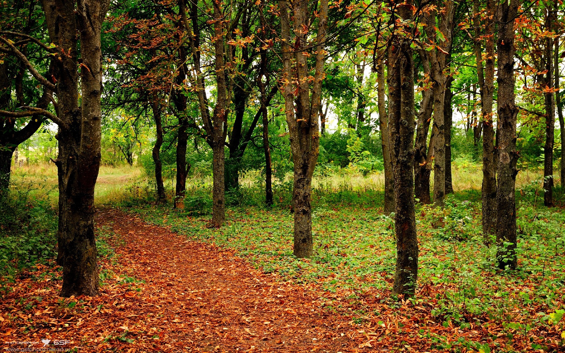 外籍教练引入先进理念提升整体备战效率,外籍教练工资