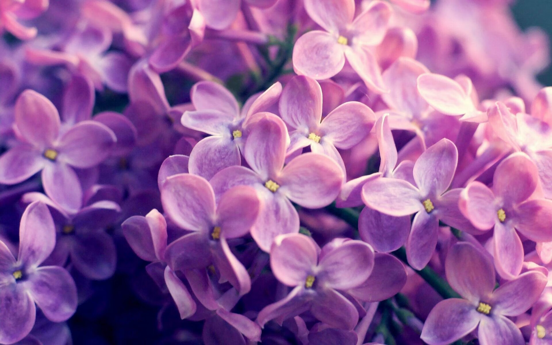 拜仁慕尼黑继续领跑德甲，争冠形势明朗