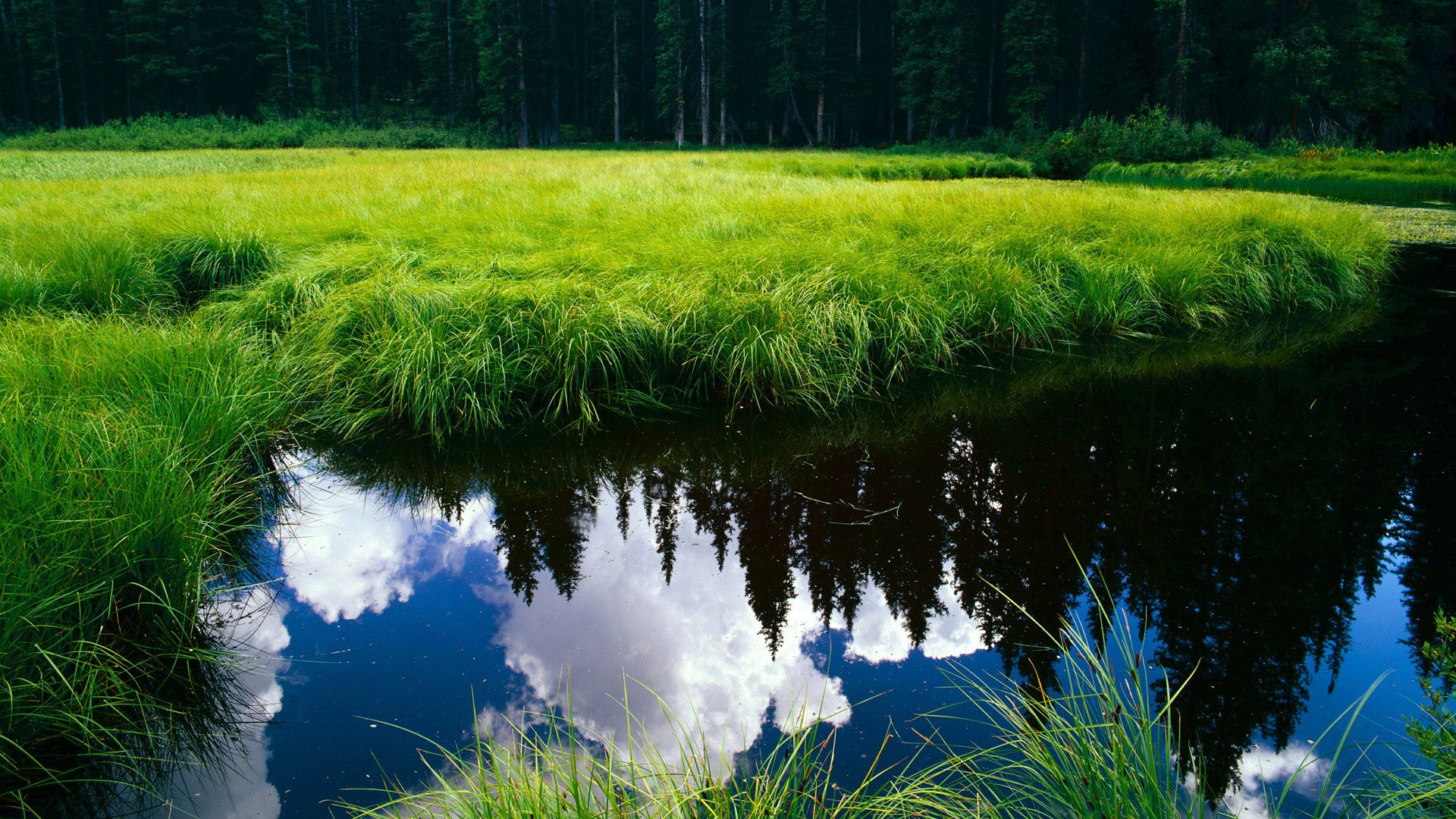 瑞安的防守技术逐渐成为全黑队重要的战术武器,瑞安比赛